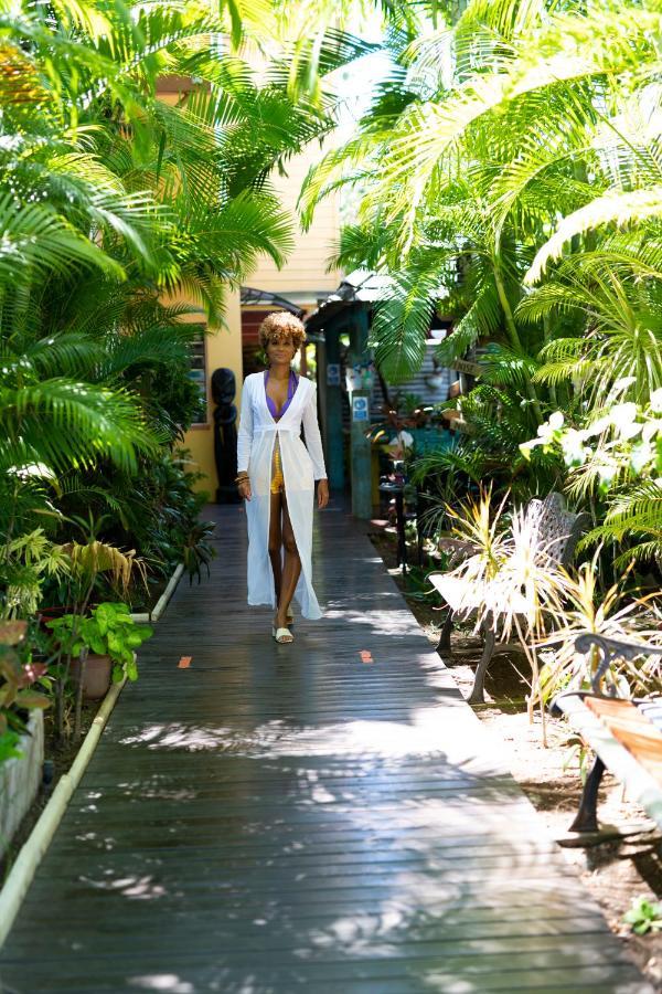 Hotel Les Bougainvilliers Saint-Gilles-les Bains Esterno foto