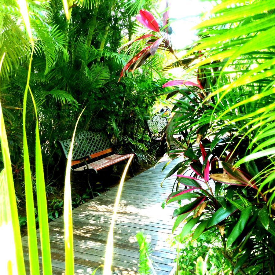 Hotel Les Bougainvilliers Saint-Gilles-les Bains Esterno foto