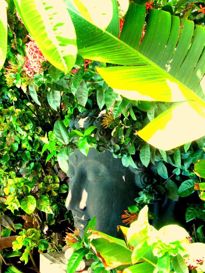 Hotel Les Bougainvilliers Saint-Gilles-les Bains Esterno foto