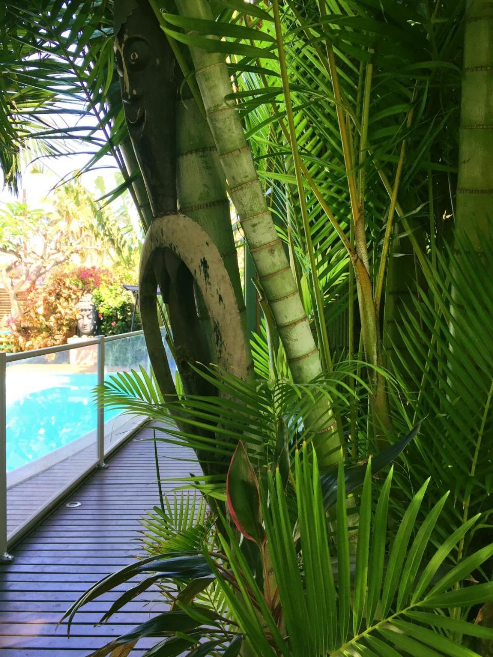 Hotel Les Bougainvilliers Saint-Gilles-les Bains Esterno foto